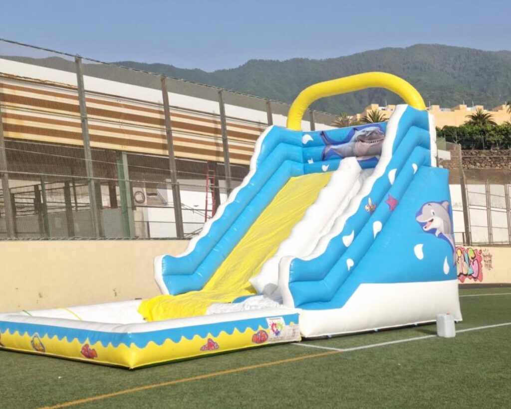 Castillo hinchable, delfín