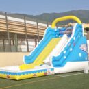 Castillo hinchable, delfín